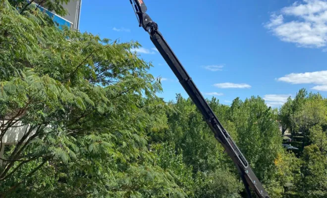 vitrerie haute NID MARIN (HENDAYE)