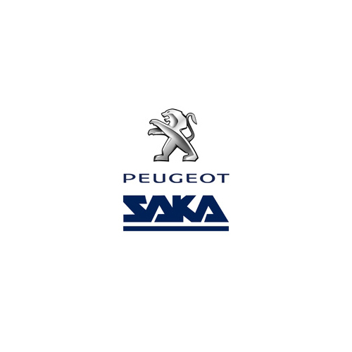 Peugeot Saka Urrugne